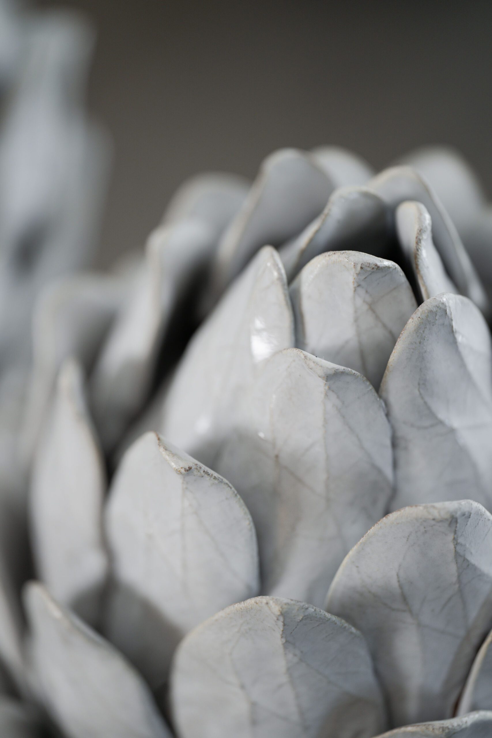 Florian Artichoke - Image 2